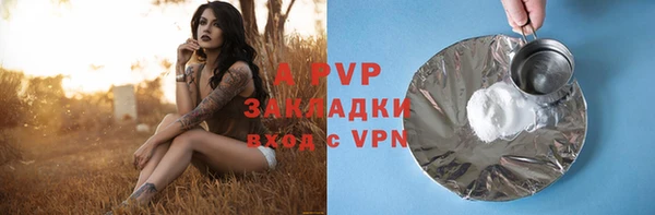 твердый Арсеньев