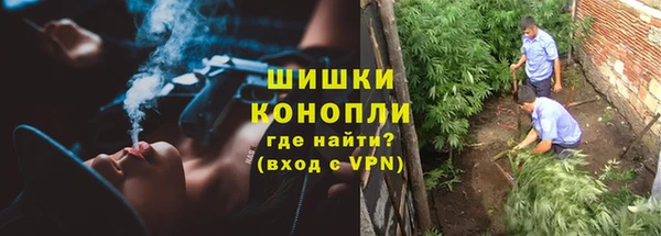 твердый Арсеньев