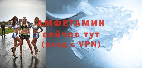 твердый Арсеньев