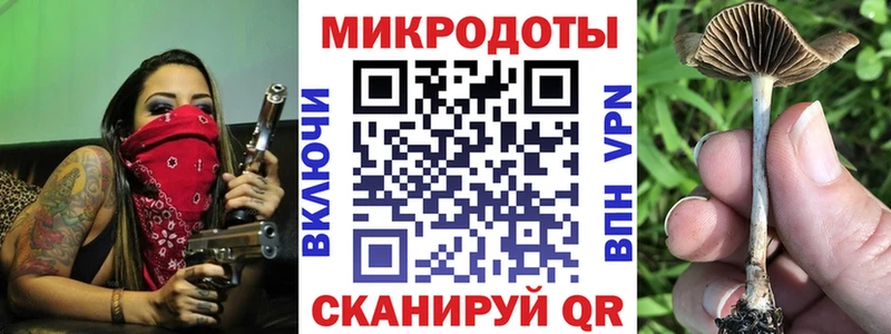 Галлюциногенные грибы Magic Shrooms  МЕГА сайт  Пудож  купить  